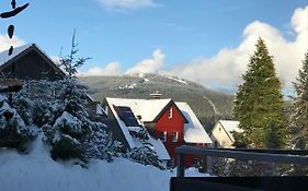 Moderne, ruhige Ferienwohnung in Braunlage Harz inkl WLAN&Netflix